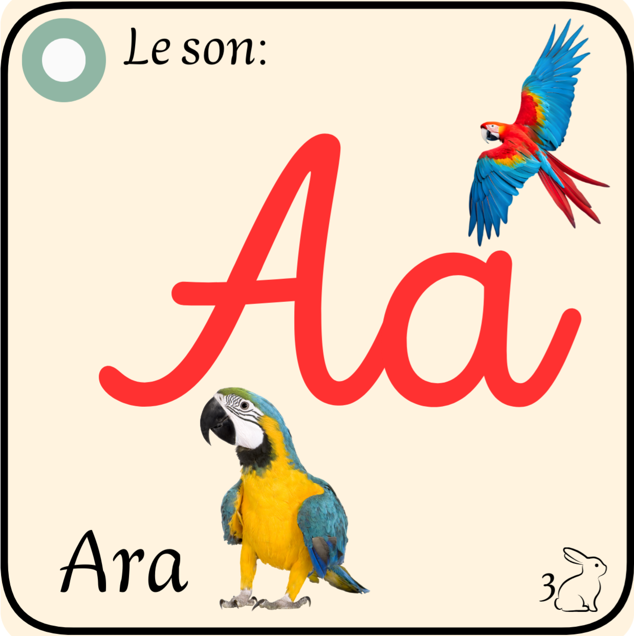 L’alphabet de ma Guyane