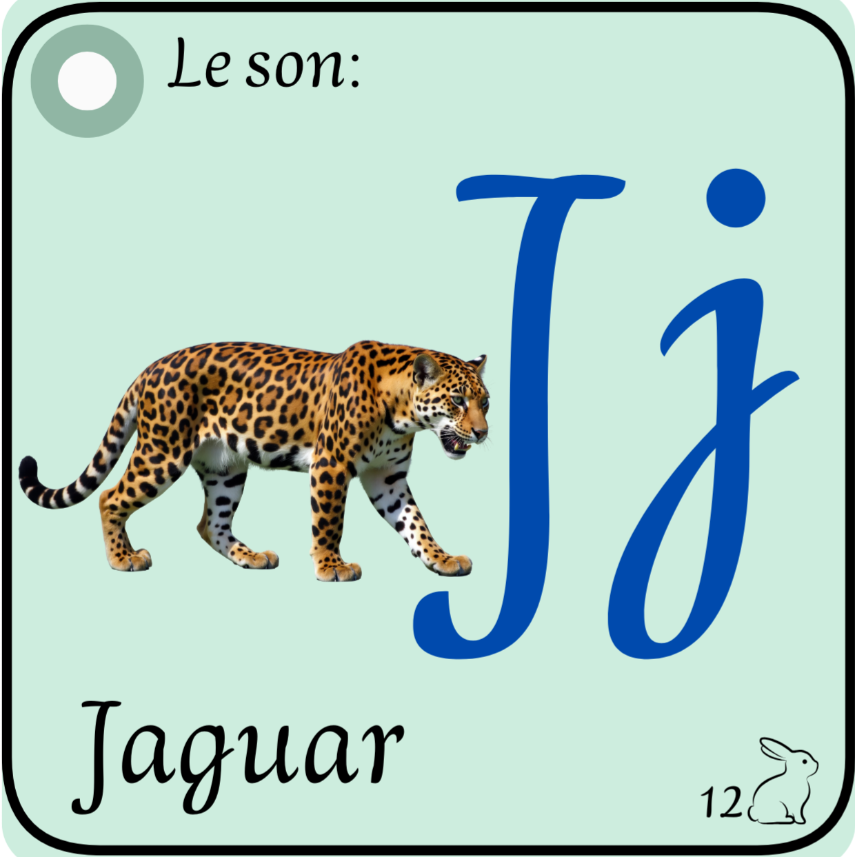 L’alphabet de ma Guyane